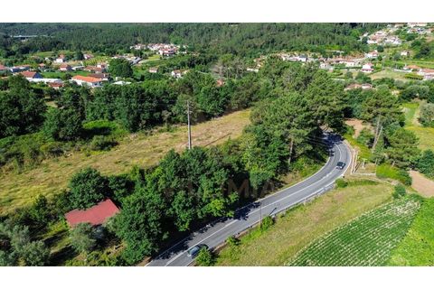 Tomt i Ponte de Lima, Viana do Castelo, Ponte de Lima - € 14 500 | Ref: V507 - foto 6