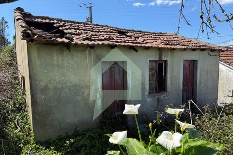 Herregård i Barcelos, Braga, Barcelos - € 45 000 | Ref: CAS_3420 - foto 7