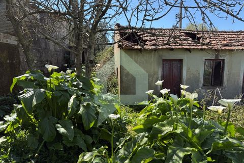 Herregård i Barcelos, Braga, Barcelos - € 45 000 | Ref: CAS_3420 - foto 8