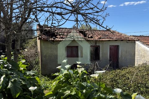 Herregård i Barcelos, Braga, Barcelos - € 45 000 | Ref: CAS_3420 - foto 9