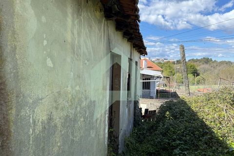 Herregård i Barcelos, Braga, Barcelos - € 45 000 | Ref: CAS_3420 - foto 11