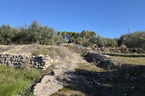 Terra a Beniganim, Valencia, Beniganim - € 68.000 | Ref: PNPT292 - foto 15