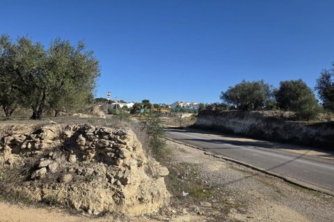 Terra a Beniganim, Valencia, Beniganim - € 68.000 | Ref: PNPT292 - foto 16