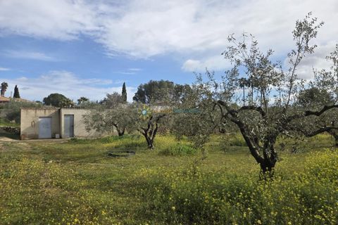 Terra a Beniganim, Valencia, Beniganim - € 68.000 | Ref: PNPT292 - foto 1