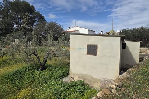 Terra a Beniganim, Valencia, Beniganim - € 68.000 | Ref: PNPT292 - foto 2