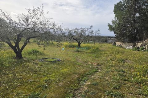 Terra a Beniganim, Valencia, Beniganim - € 68.000 | Ref: PNPT292 - foto 12