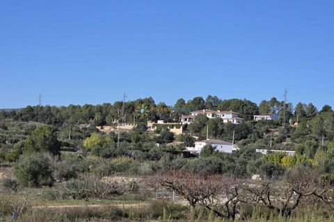 Terra a Beniganim, Valencia, Beniganim - € 68.000 | Ref: PNPT292 - foto 10