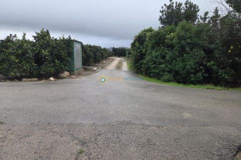 Terra a Senyera, Valencia, Senyera - € 8.000 | Ref: PNPT285 - foto 6