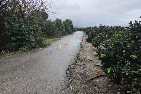 Terra a Senyera, Valencia, Senyera - € 8.000 | Ref: PNPT285 - foto 4