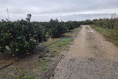 Terra a Senyera, Valencia, Senyera - € 8.000 | Ref: PNPT285 - foto 3