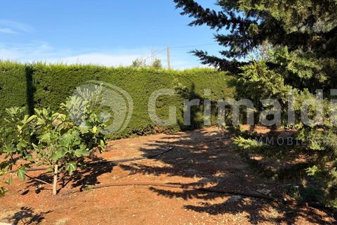 Villa i Sannicola, Lecce, Sannicola - € 140.000 | Ref: 140portolano - foto 3