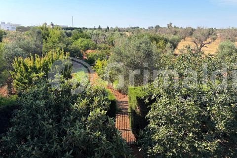 Villa i Sannicola, Lecce, Sannicola - € 140.000 | Ref: 140portolano - foto 4