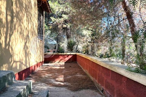 Villa i Sannicola, Lecce, Sannicola - € 140.000 | Ref: 140portolano - foto 7
