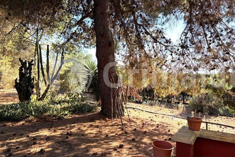 Villa i Sannicola, Lecce, Sannicola - € 140.000 | Ref: 140portolano - foto 9