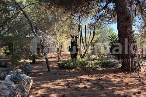 Villa i Sannicola, Lecce, Sannicola - € 140.000 | Ref: 140portolano - foto 10