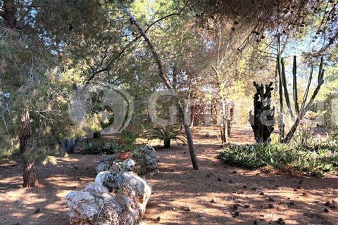 Villa i Sannicola, Lecce, Sannicola - € 140.000 | Ref: 140portolano - foto 11