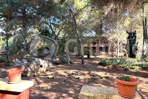 Villa i Sannicola, Lecce, Sannicola - € 140.000 | Ref: 140portolano - foto 12