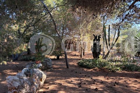 Villa i Sannicola, Lecce, Sannicola - € 140.000 | Ref: 140portolano - foto 13