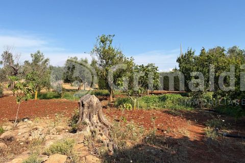 Villa i Sannicola, Lecce, Sannicola - € 140.000 | Ref: 140portolano - foto 14