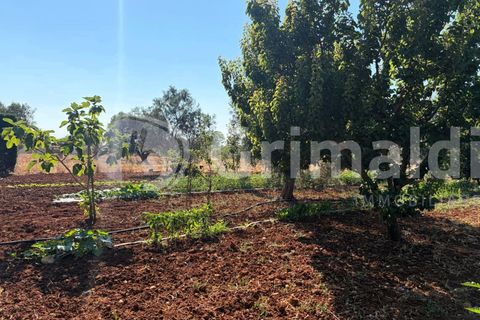 Villa i Sannicola, Lecce, Sannicola - € 140.000 | Ref: 140portolano - foto 15