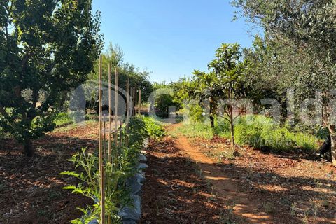 Villa i Sannicola, Lecce, Sannicola - € 140.000 | Ref: 140portolano - foto 16