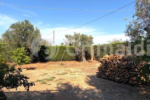 Villa i Sannicola, Lecce, Sannicola - € 140.000 | Ref: 140portolano - foto 18