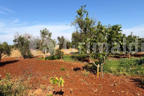 Villa i Sannicola, Lecce, Sannicola - € 140.000 | Ref: 140portolano - foto 20