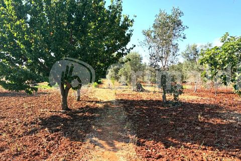 Villa i Sannicola, Lecce, Sannicola - € 140.000 | Ref: 140portolano - foto 21
