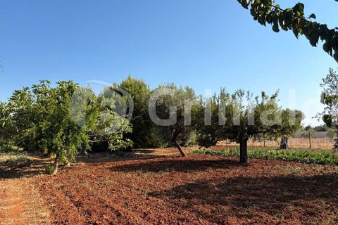 Villa i Sannicola, Lecce, Sannicola - € 140.000 | Ref: 140portolano - foto 23