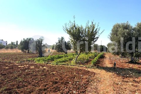 Villa i Sannicola, Lecce, Sannicola - € 140.000 | Ref: 140portolano - foto 24