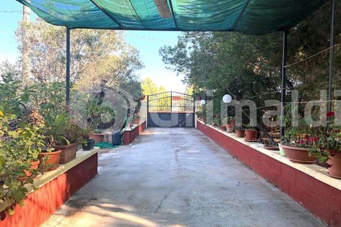 Villa i Sannicola, Lecce, Sannicola - € 140.000 | Ref: 140portolano - foto 49