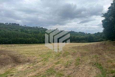 Masia a Seia, Guarda, Seia - € 120.000 | Ref: LMF 142 - foto 12