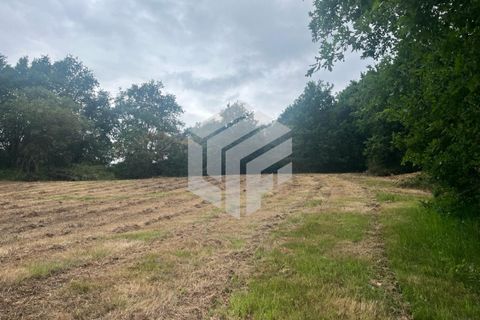 Masia a Seia, Guarda, Seia - € 120.000 | Ref: LMF 142 - foto 13