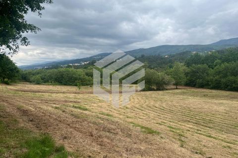 Masia a Seia, Guarda, Seia - € 120.000 | Ref: LMF 142 - foto 14