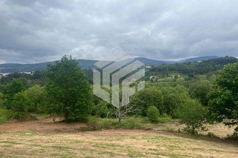 Masia a Seia, Guarda, Seia - € 120.000 | Ref: LMF 142 - foto 15