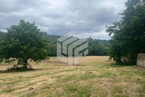 Masia a Seia, Guarda, Seia - € 120.000 | Ref: LMF 142 - foto 16