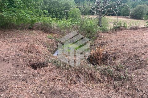 Masia a Seia, Guarda, Seia - € 120.000 | Ref: LMF 142 - foto 17