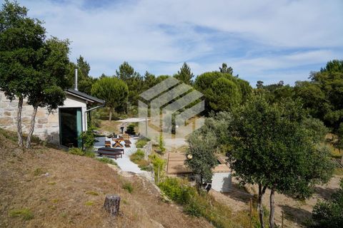 Herregård i Tabua, Coimbra, Tabua - € 545 000 | Ref: LMF 144 - foto 10