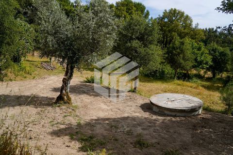 Herregård i Tabua, Coimbra, Tabua - € 545 000 | Ref: LMF 144 - foto 40
