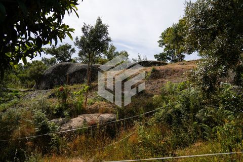 Herregård i Tabua, Coimbra, Tabua - € 545 000 | Ref: LMF 144 - foto 41