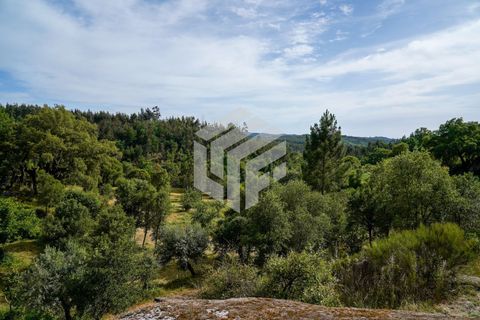 Herregård i Tabua, Coimbra, Tabua - € 545 000 | Ref: LMF 144 - foto 43