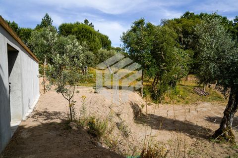 Herregård i Tabua, Coimbra, Tabua - € 545 000 | Ref: LMF 144 - foto 44
