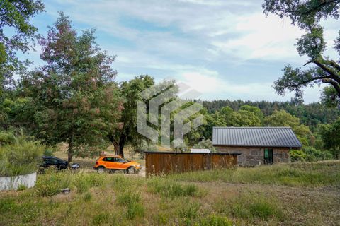 Herregård i Tabua, Coimbra, Tabua - € 545 000 | Ref: LMF 144 - foto 48