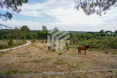 Herregård i Tabua, Coimbra, Tabua - € 545 000 | Ref: LMF 144 - foto 49