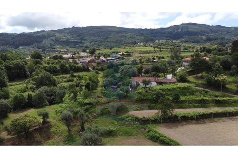 Farm i Gondufe, Viana do Castelo, Gondufe - € 150.000 | Ref: TL054 - foto 3