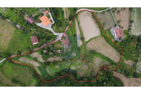 Farm i Gondufe, Viana do Castelo, Gondufe - € 150.000 | Ref: TL054 - foto 4
