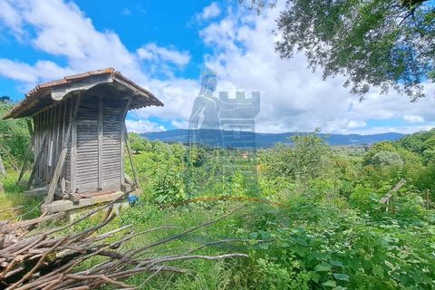 Farm i Gondufe, Viana do Castelo, Gondufe - € 150.000 | Ref: TL054 - foto 10