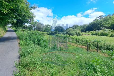 Farm i Gondufe, Viana do Castelo, Gondufe - € 150.000 | Ref: TL054 - foto 11