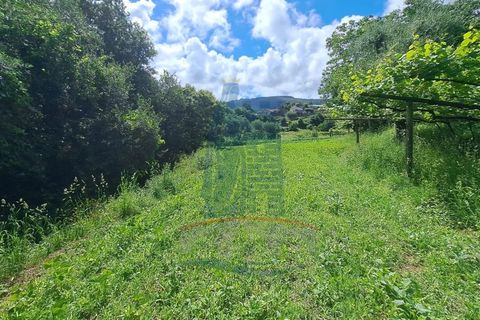 Farm i Gondufe, Viana do Castelo, Gondufe - € 150.000 | Ref: TL054 - foto 12