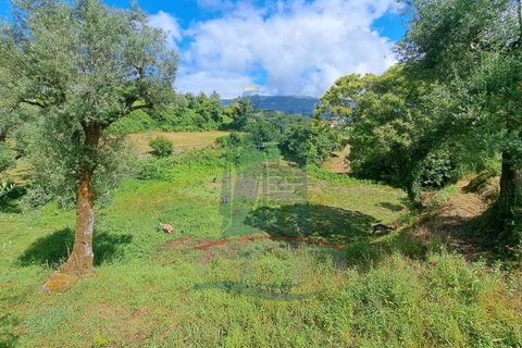 Farm i Gondufe, Viana do Castelo, Gondufe - € 150.000 | Ref: TL054 - foto 13